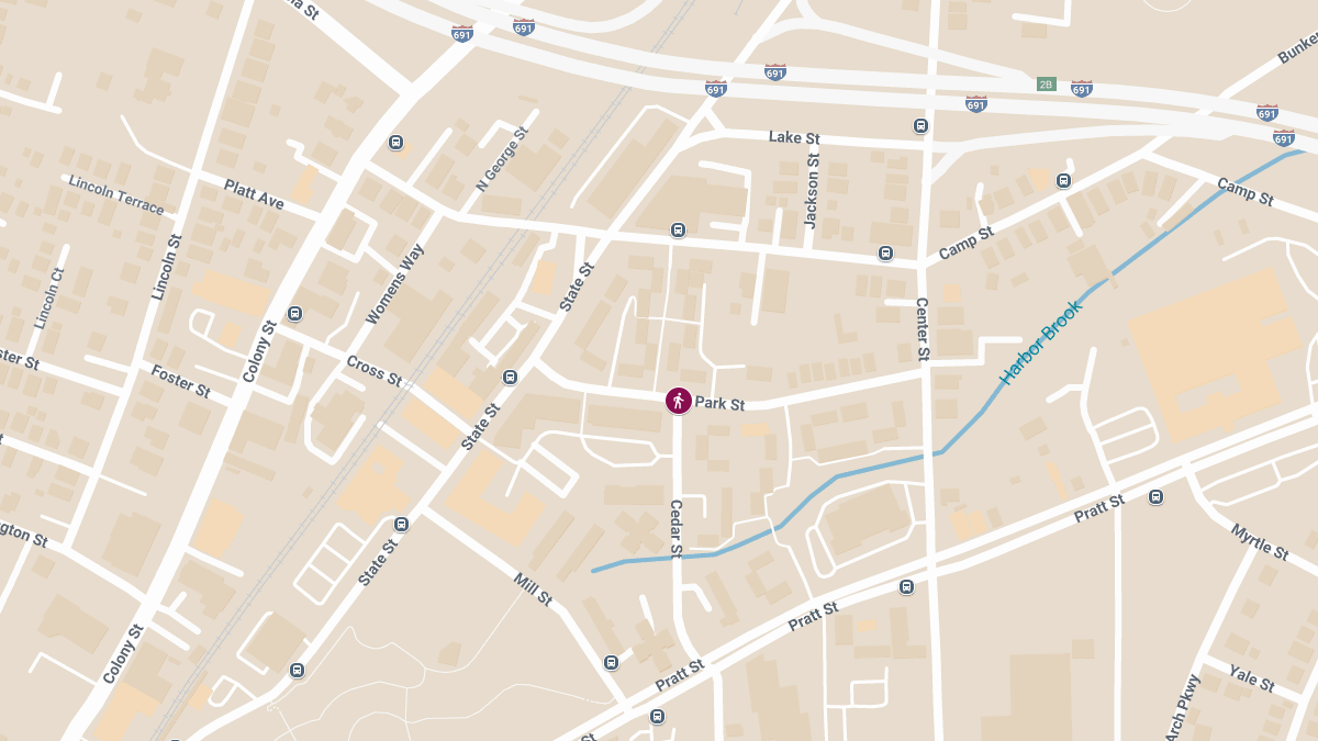 Pedestrian Struck by Two Vehicles at Cedar St & Park St