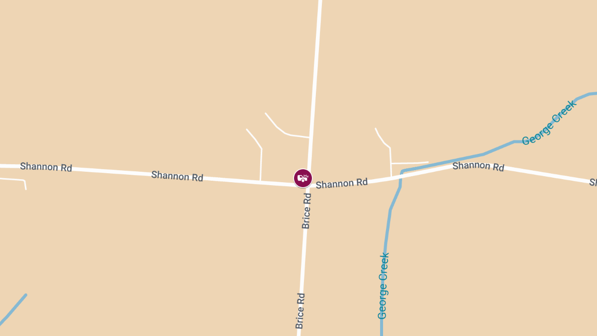 Traffic Accident with Injuries at Brice Rd & Shannon Rd